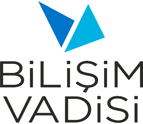Bilişim Vadisi logosu