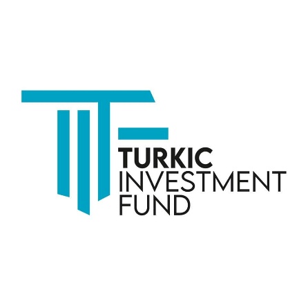 Türk Yatırım Fonu logosu